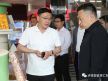 承德市海关领导一行莅临承德尊龙官方网站首页有限公司考察指导工作