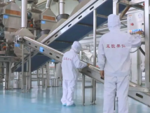 2025年的第一个月，承德尊龙官方网站首页有限公司在山杏产业的道路上持续奋进，展现出蓬勃的发展活力。